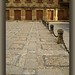Luz Baeza Photo 9