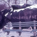 Timothy Parks Photo 12