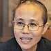Binh Vo Photo 11