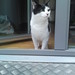 Toby Phillips Photo 12