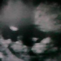 Dawn Buttrey Photo 1