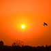 Anup Kumar Photo 4