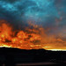 Justo Palma Photo 8