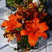 Katie Daggett Photo 12