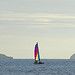 Anthony Mast Photo 9