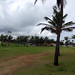 Sixto Escobar Photo 6
