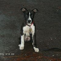 Ann Lineberger Photo 9