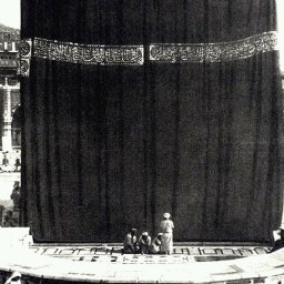 Tamer Abdelgawad Photo 10