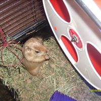 Wanda Hash Photo 7