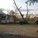 Donna Young Photo 9