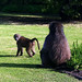 Harold Boon Photo 4