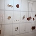 Jennifer Strachan Photo 8