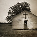 Faith Hart Photo 8