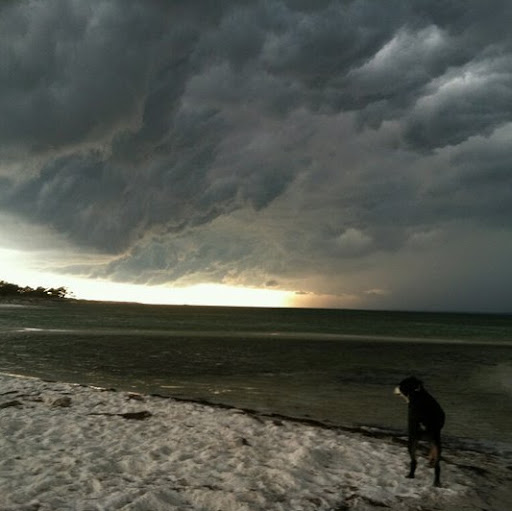 William Felts Photo 22