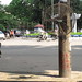 Quan Fan Photo 5