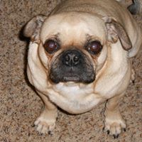 Julie Dilley Photo 18