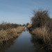 Devon Marsh Photo 7