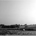 Howard Phillips Photo 15