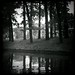 John Singel Photo 11