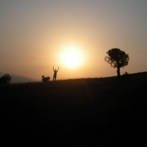 Reza Mohammadi Photo 17