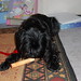 Marietta Spencer Photo 6