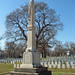 Thomas Ransom Photo 13