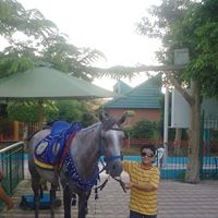 Wael Abdallah Photo 16