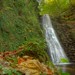 Will Foss Photo 7