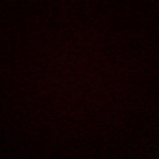 A Brown Photo 31