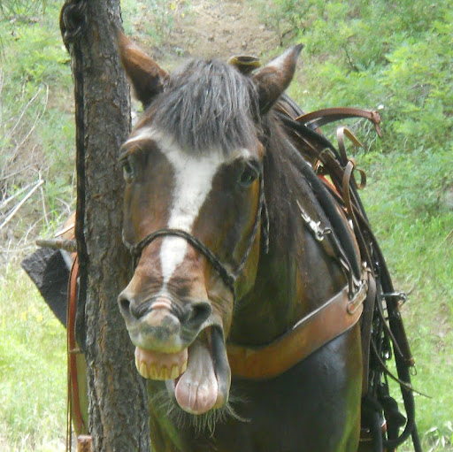 Karen Yeager Photo 25