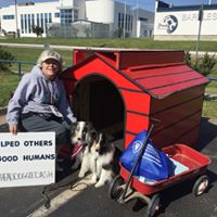 Pamela Ehlers Photo 9