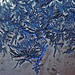 Andrea Frost Photo 7