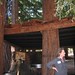 Michele Burch Photo 9