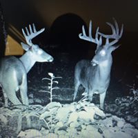 Brian Harshbarger Photo 13