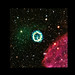 Chandra Wolf Photo 4