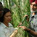 Darshan Brar Photo 7