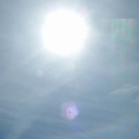 Diane Sewell Photo 27