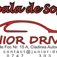 Junior Driver Photo 9