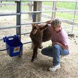 Kelly Stone Photo 19