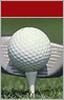 Dawn Donahue Photo 33