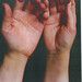 Sheldon Gottlieb Photo 6