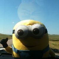 Dave Minion Photo 9