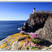 David Staffins Photo 10