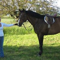 Lisa Melin Photo 17