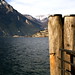 Laura Lago Photo 4