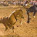 Desiree Wynn Photo 6