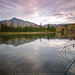 Raymond Arvin Photo 4