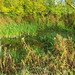 Gary Heath Photo 10