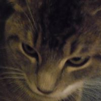 Maggie Boyd Photo 28