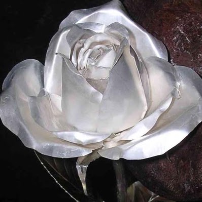 Rosa Alcaraz Photo 14